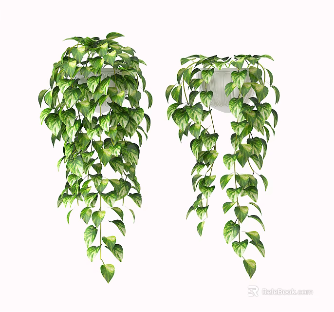Lush Green Hanging Basket Plants With Trailing Vines For Indoor Decor 3d model 