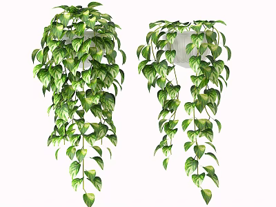 Lush Green Hanging Basket Plants With Trailing Vines For Indoor Decor 3d model