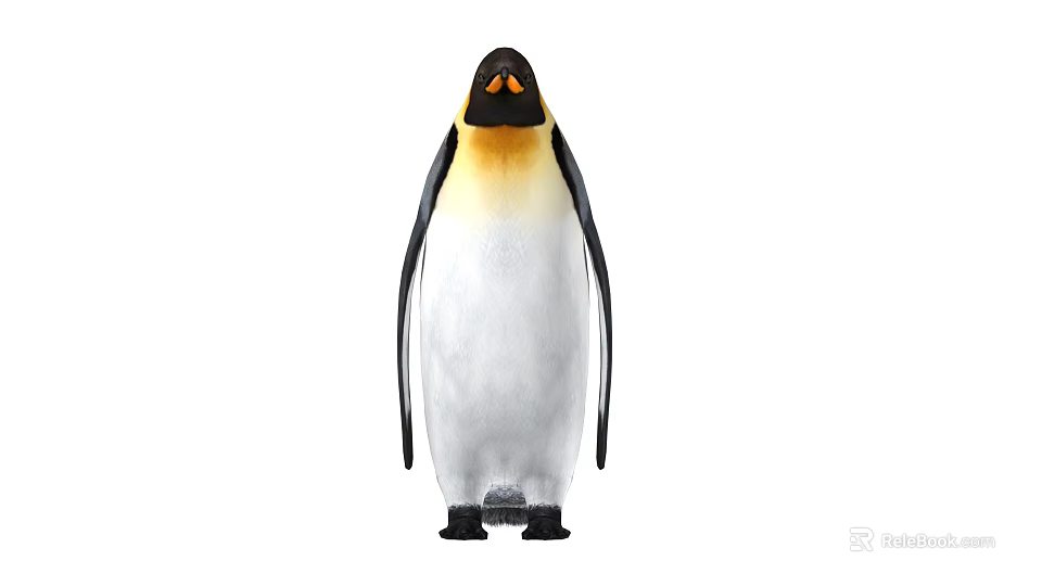 Emperor Penguin Bird With Yellow Neck And Black White Feathers Standing Isolated On White Background 3d model 