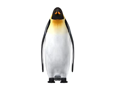 Emperor Penguin Bird With Yellow Neck And Black White Feathers Standing Isolated On White Background 3d model