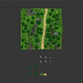 Lush Green Forest Scene With Winding Path Tall Trees And Scattered Stones