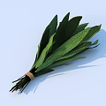 Fresh Organic Green Vegetable Leaves Bunch Tied With Rope On Light Blue Background