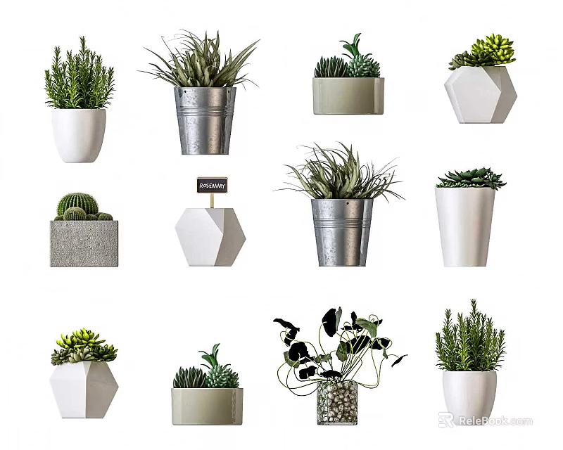 Decorative Bonsai Potted Plants With Various Shaped Pots And Green Foliage 3d model 