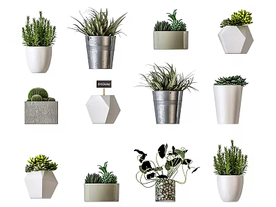 Decorative Bonsai Potted Plants With Various Shaped Pots And Green Foliage 3d model