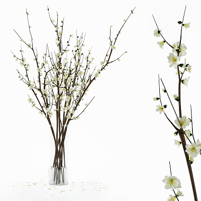 White Flower Branches Arranged in Clear Glass Vase for Modern Home Decoration 3d model