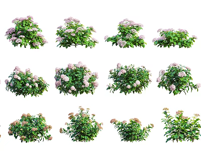 Hydrangea Modern Flower 3d model Hydrangea Modern Flower 3d model