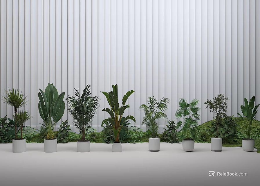 Indoor Hanging Plants In White Pots Against White Vertical Stripe Wall 3d model 