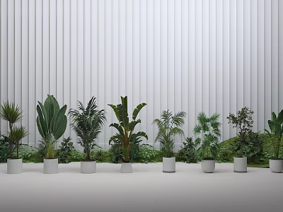 Indoor Hanging Plants In White Pots Against White Vertical Stripe Wall 3d model