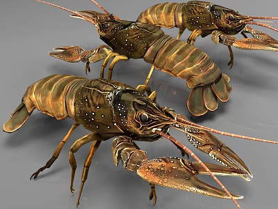 Three Realistic Freshwater Lobsters Featuring Brown Shell Long Antennas And Sharp Claws 3d model