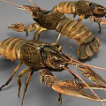 Three Realistic Freshwater Lobsters Featuring Brown Shell Long Antennas And Sharp Claws