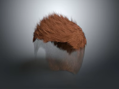Realistic Head Organ Structure With Brown Hair On Transparent 3d model