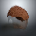 Realistic Head Organ Structure With Brown Hair On Transparent