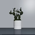 Indoor Potted Cactus Plant with White Striped Pot and Green Pads on Gray Tabletop