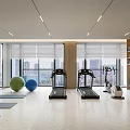 Bright Gym With Treadmills Yoga Mats Exercise Balls And Large Windows