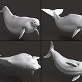 Beluga with Bound and Animated Whale Sea Creatures 3d model