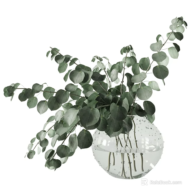 Transparent Glass Vase with Fresh Green Eucalyptus Leaves and Water Drops 3d model 
