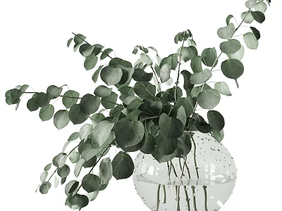 Transparent Glass Vase with Fresh Green Eucalyptus Leaves and Water Drops 3d model