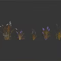Different Plants with Purple Flowers and Grass Arranged in a Row on White Background
