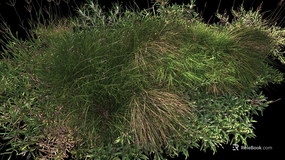 Natural Green Grasses And Diverse Low Growing Plants In Outdoor Landscape 3d model 