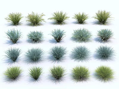 Decorative Grasses In Various Forms With Green And Blue Green Colors Arranged In Rows 3d model