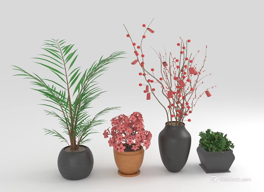 Various Decorative Plants in Black Brown and Hexagonal Pots with Green Leaves and Red Flowers 3d model 