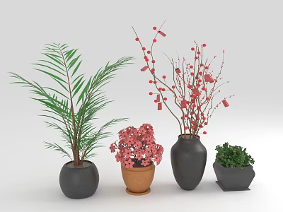 Various Decorative Plants in Black Brown and Hexagonal Pots with Green Leaves and Red Flowers 3d model