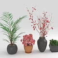 Various Decorative Plants in Black Brown and Hexagonal Pots with Green Leaves and Red Flowers