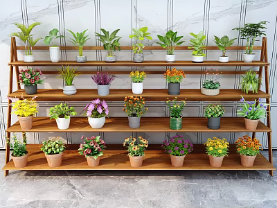 Indoor Potted Plants Display On Wooden Shelf With Multiple Layers And Colorful Flowers 3d model
