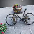 Bicycle Parked Near Stone Bench With Flower Pot And Red Blooms