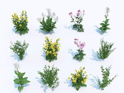 Colorful Assorted Flowers And Plants With Yellow Pink Blooms And Green Leaves 3d model