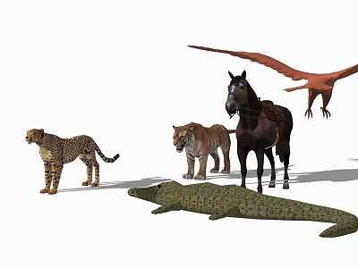 Reptile Crocodile Among Different Animals Including Cheetah Tiger Horse And Bird 3d model