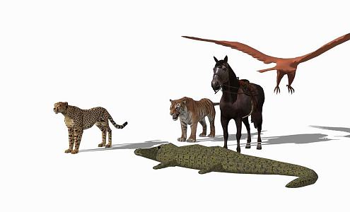 Modern Animal Groups Animals and 3d model