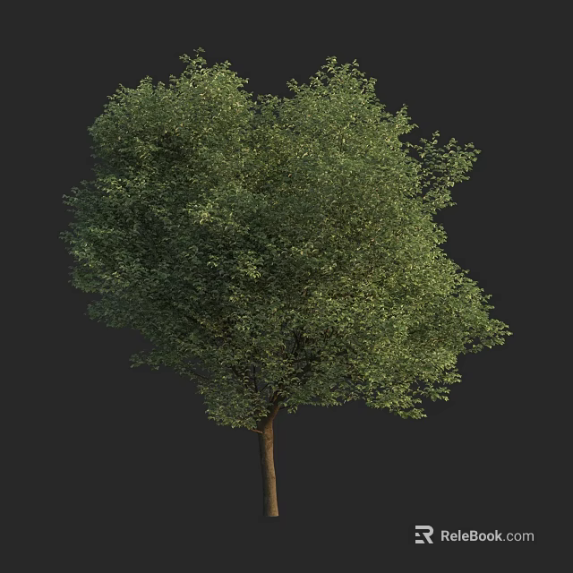Lush Green Arbor With Thick Trunk And Dense Foliage In Natural Environment 3d model 