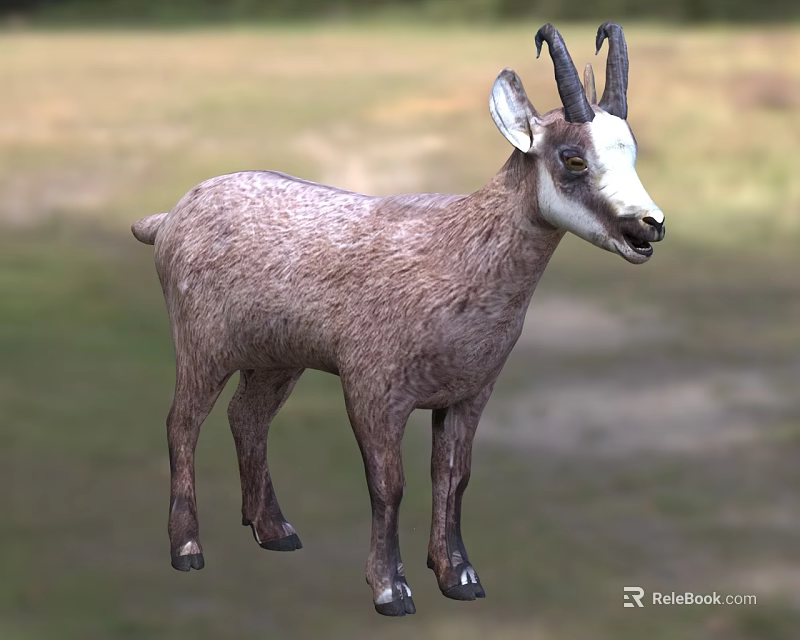 Vibrant Scaled Reptile Lizard Basking On Warm Rock In Natural Habitat 3d model 