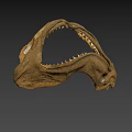 Shark Jaw Fossil With Sharp Teeth On Display In Museum Setting