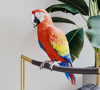 Modern parrot 3d model