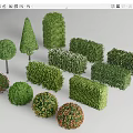 shrub hedge square shrub greenbelt plant combination isolation belt shrub ball shrub 3d model