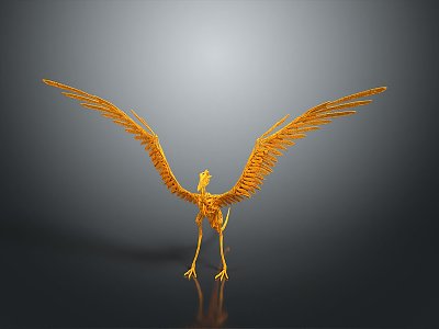 modern diving bird diving bird skeleton cormorant skeleton 3d model