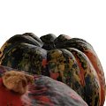 Fresh Vibrant Pumpkins with Red Black Orange Speckled and Striped Patterns