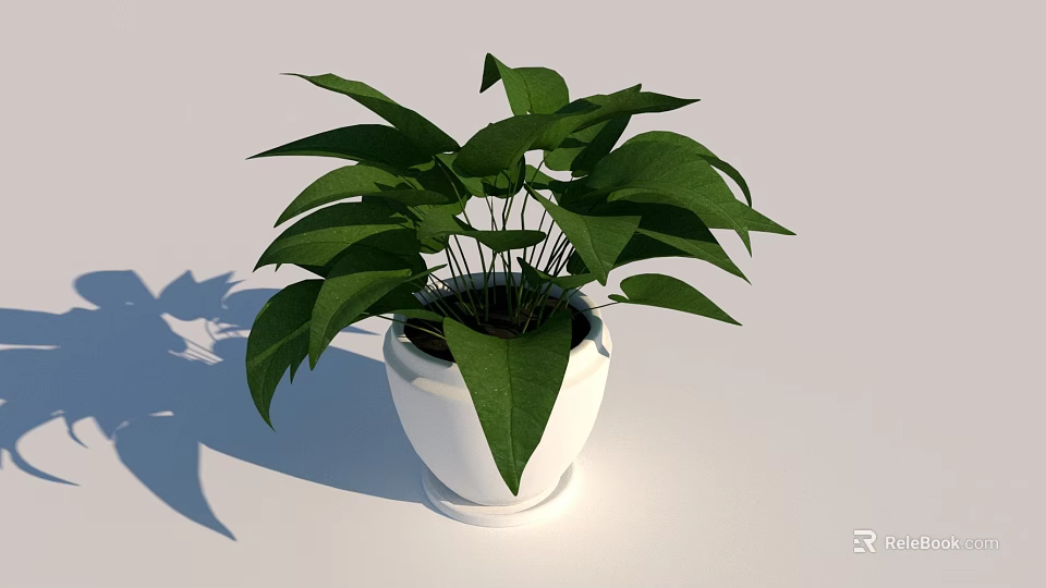 Lush Green Bonsai Potted Plant in White Ceramic Pot for Indoor Decor 3d model 