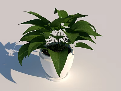 Lush Green Bonsai Potted Plant in White Ceramic Pot for Indoor Decor 3d model