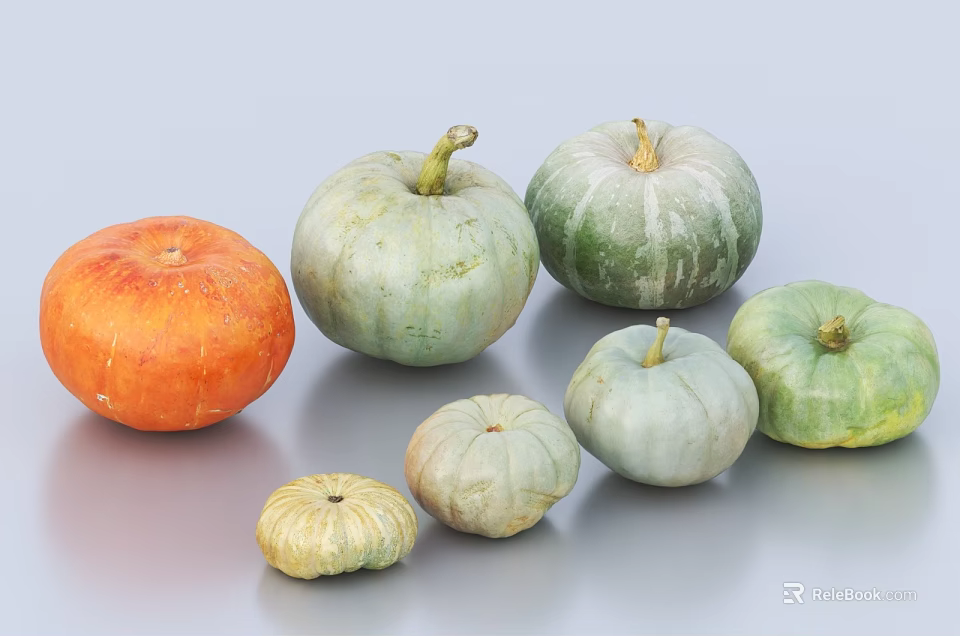 Fresh Vegetables Collection of Various Colored and Sized Pumpkins on 3d model 