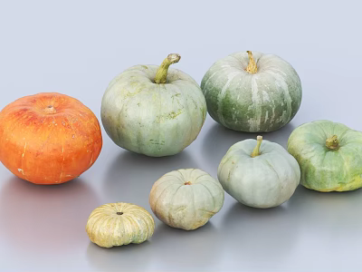 Fresh Vegetables Collection of Various Colored and Sized Pumpkins on 3d model
