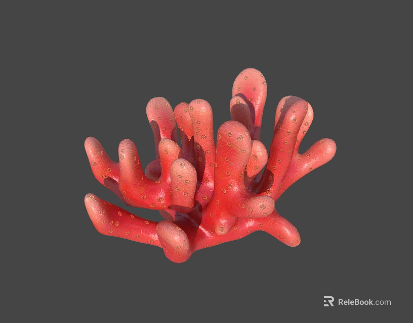 Red Coral Polyps Marine Animal With Branch Structure And Textured Surface 3d model 