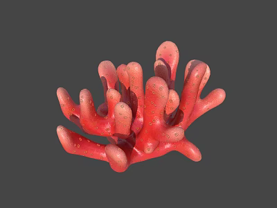 Red Coral Polyps Marine Animal With Branch Structure And Textured Surface 3d model
