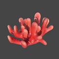 Red Coral Polyps Marine Animal With Branch Structure And Textured Surface