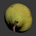 Fresh Yellowish Green Pear With Brown Stem On Dark Background Showing Reflection