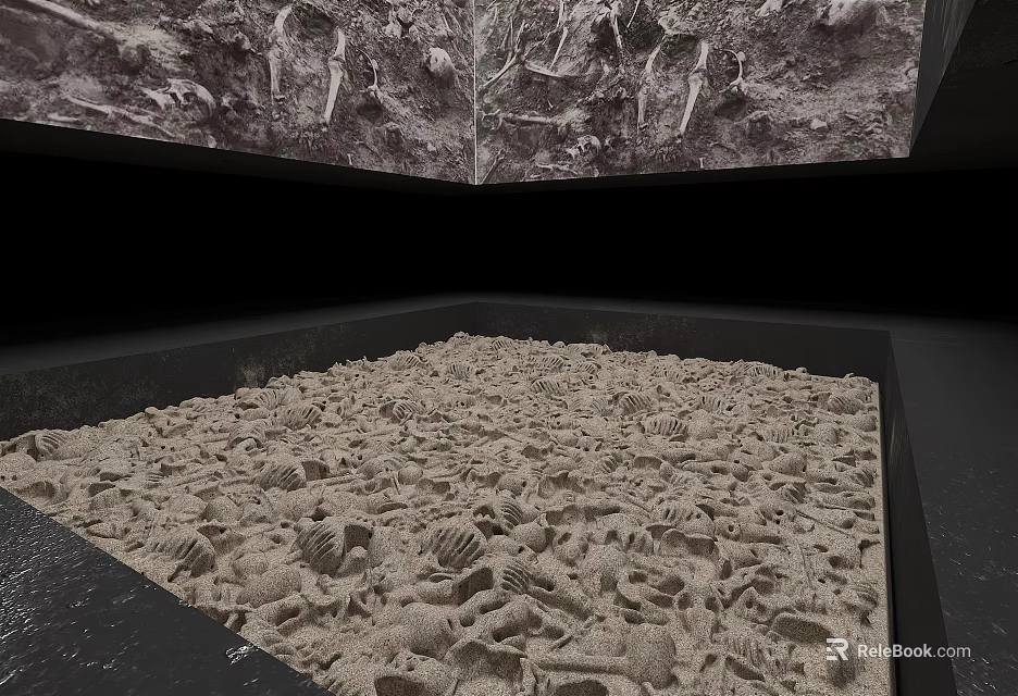 Natural History Exhibition Display Featuring Shell Covered Ground And Fossil Specimens 3d model 
