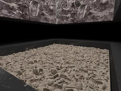 Natural History Exhibition Display Featuring Shell Covered Ground And Fossil Specimens 3d model
