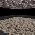 Natural History Exhibition Display Featuring Shell Covered Ground And Fossil Specimens